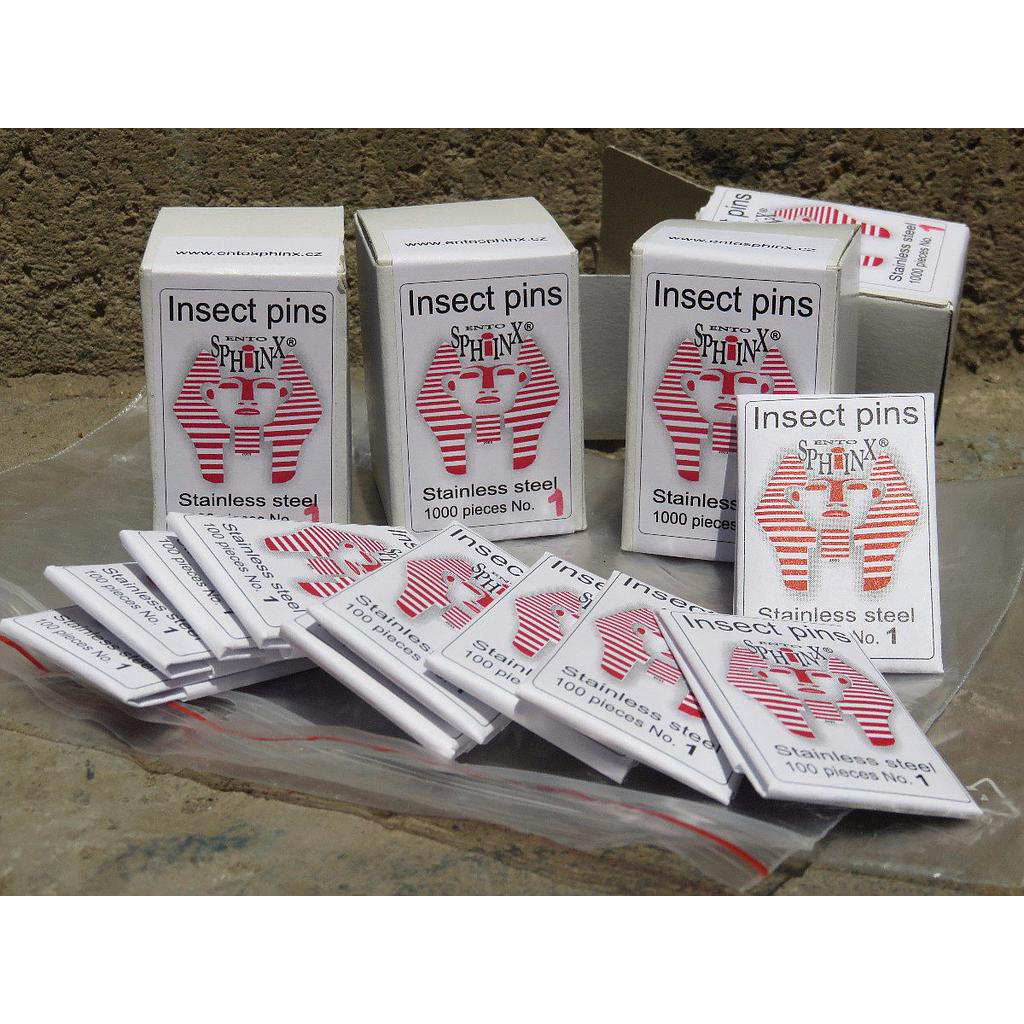 Ento Sphinx Alfileres Entomologicos