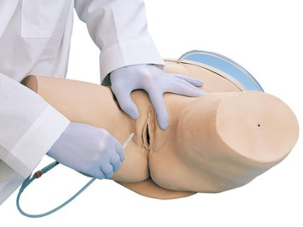 Simulador de cateterismo femenino Nasco LF00856U