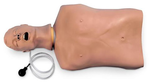 Maniqui Torso de entrenamiento para el manejo de las vías respiratorias "Airway Larry" Nasco LF03669U