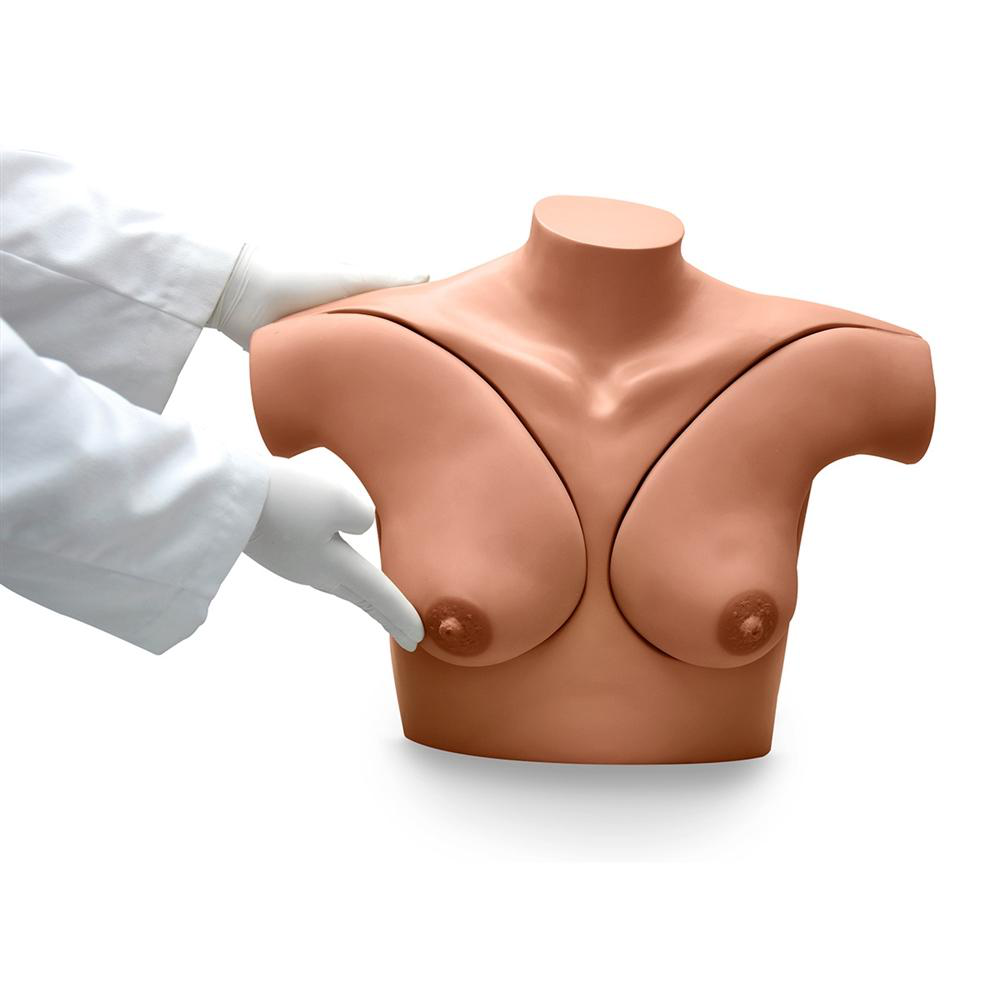 Simulador para exámen mamario Gaumard - S230.42