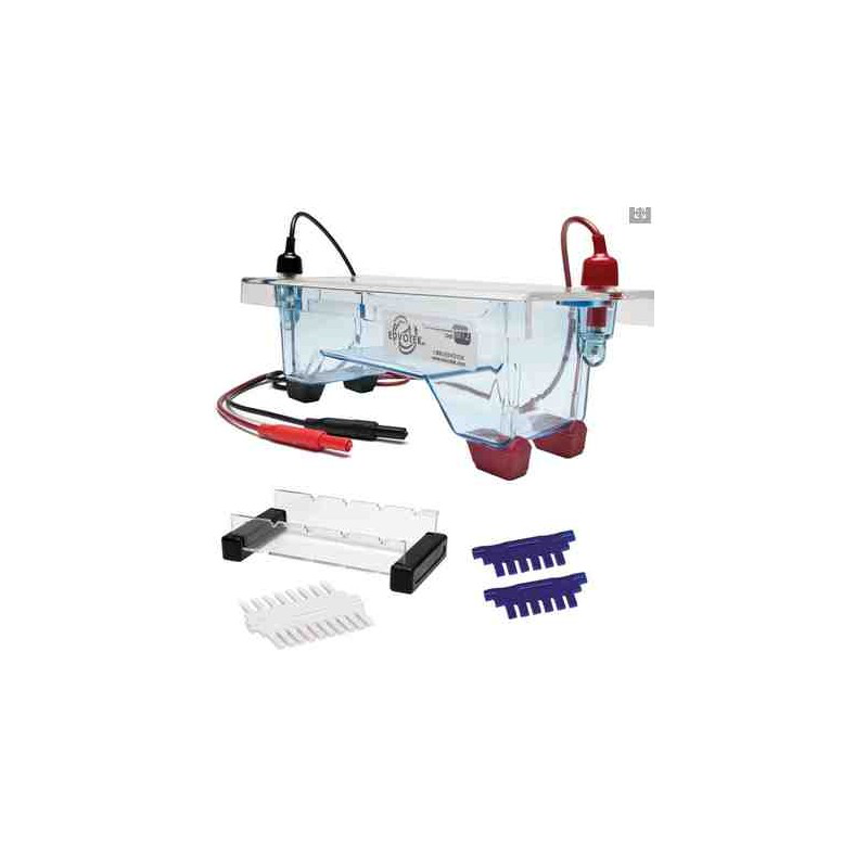 Aparato  de Electroforesis Horizontal