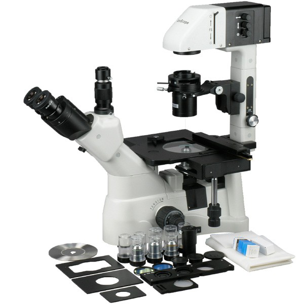 Microscopio invertido de cultivo de fases, con plataforma mecánica 40X-900X