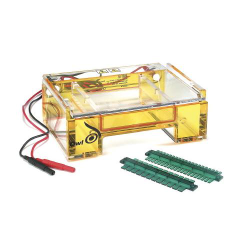 Thomas Scientific Owl B2 Sistema de electroforesis
