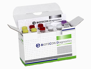Kit de deteccion Listeria  / Biotecon /R-300-20