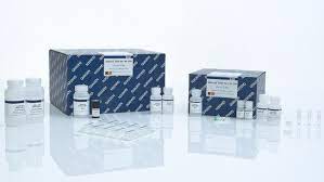 MINI KIT DE ADN  Qiagen