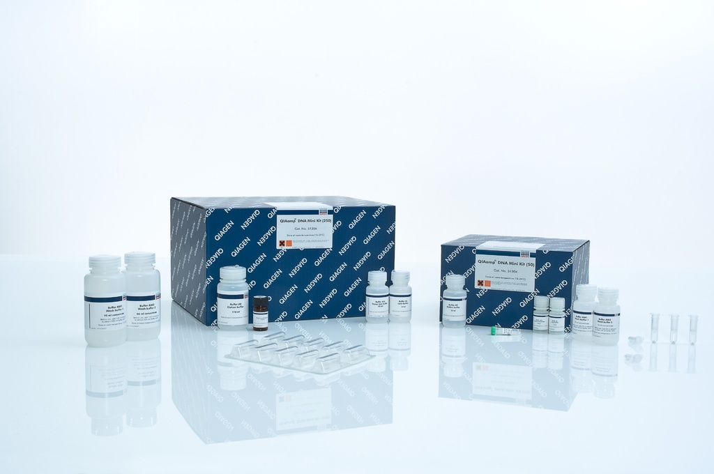 Mini kit de ADN QIAamp (250) Qiagen 51306