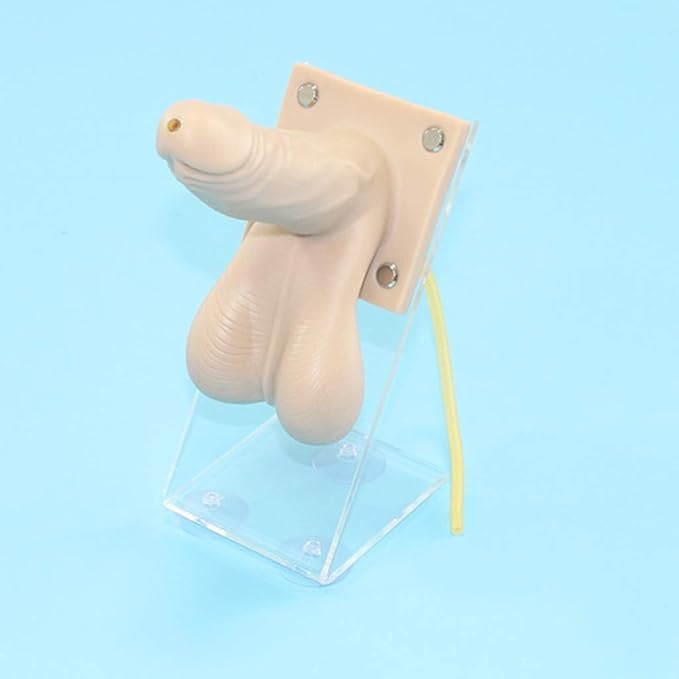 Modelo de enseñanza modelo de orientación anticonceptiva masculina DKULMN B0CXDWLS4Q
